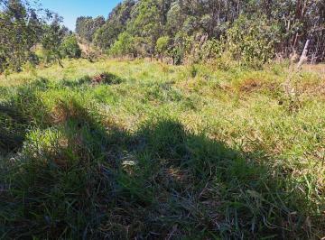 Rural , Morungaba · Sítio 20.000 m² - Estância Climática de Morungaba/sp/br (Jõ. Manu) 457