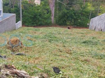 Terreno · 250m² · Terreno À Venda - Em Nova Trieste