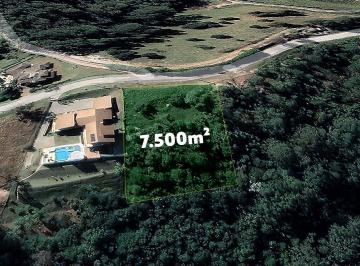 Terreno · 7500m² · Terreno À Venda - Em Ivoturucaia