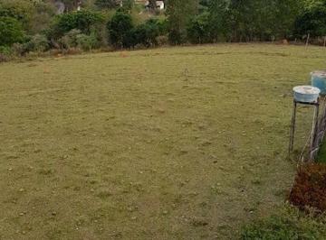 Terreno · 1m² · Terreno À Venda - Em Guacuri