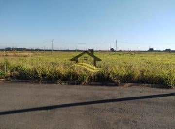 2024/06/4b19d430a4754ca01bfa019373d9b19e.jpg · Terreno - Lagoa Bonita
