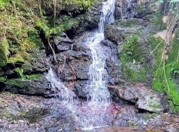Rural , Cambuí · Terreno Com Cachoeira