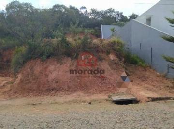 Terreno · 450m² · Oportunidade! Lote No Bairro Tropical!