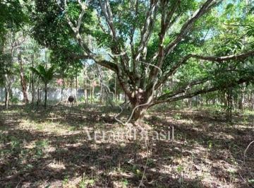 Terreno , Porto Seguro · Terreno Multifamiliar Em Ótima Localização.