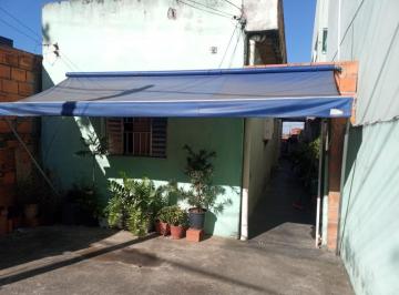 1133941-142331.jpg · Imoveis - Tulipas