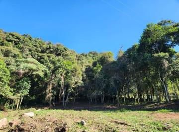 Terreno , Cambuí · Terreno Reserva Manacás