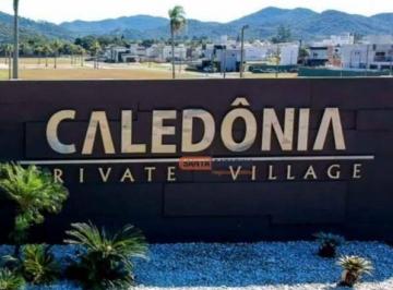 47d40d1a562c0b22f4bafe7ea5db66c8.jpg · Terreno À Venda, 458 m² por R$900.000 - Centro - Camboriú/sc