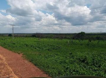 2624_imovelintegrado_imovelweb_1.jpg · Fazenda Centro Canto Do Buriti Pi