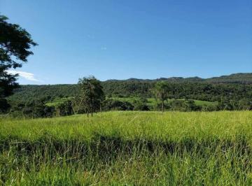1754_imovelintegrado_imovelweb_1.jpg · Fazenda Centro Baliza Go