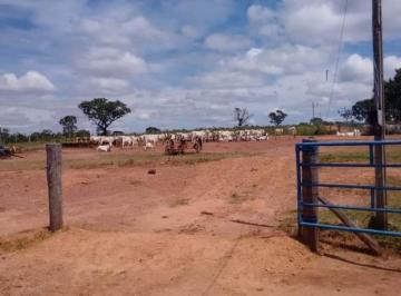 2936_imovelintegrado_imovelweb_1.jpg · Fazenda Centro Joao Pinheiro Mg