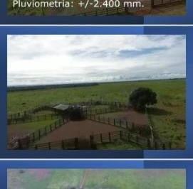 1844_imovelintegrado_imovelweb_1.jpg · Fazenda Centro Santa Terezinha Mt