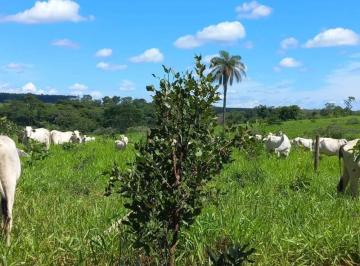 2345_imovelintegrado_imovelweb_1.jpg · Fazenda Serra Verde (Venda Nova) Belo Horizonte Mg
