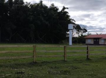 3325_imovelintegrado_imovelweb_1.jpg · Fazenda Centro Nova Andradina Ms