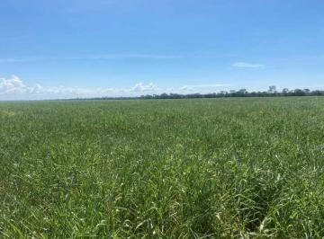 2849_imovelintegrado_imovelweb_1.jpg · Fazenda Centro Paracatu Mg