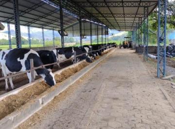 2760_imovelintegrado_imovelweb_1.jpg · Fazenda Centro Sao Lourenco Mg