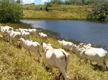 2262_imovelintegrado_imovelweb_1.jpg · Fazenda Centro Una Ba