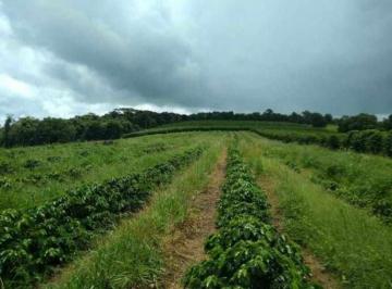 3295_imovelintegrado_imovelweb_1.jpg · Fazenda Centro Guaxupe Mg