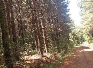 3373_imovelintegrado_imovelweb_1.jpg · Fazenda Centro Rio Grande Rs