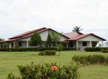 1195_imovelintegrado_imovelweb_1.jpg · Fazenda Centro Peixoto de Azevedo Mt