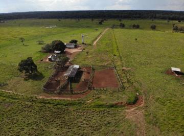 3135_imovelintegrado_imovelweb_1.jpg · Fazenda Centro Cerejeiras Ro