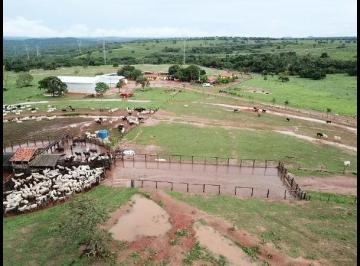 2953_imovelintegrado_imovelweb_1.jpg · Fazenda Centro Guiratinga Mt