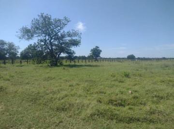 3058_imovelintegrado_imovelweb_1.jpg · Fazenda Jardim Petropolis Cuiaba Mt