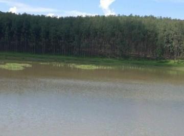 2232_imovelintegrado_imovelweb_1.jpg · Fazenda Capim Branco II Unai Mg