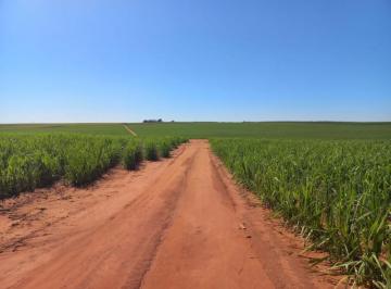 3041_imovelintegrado_imovelweb_1.jpg · Fazenda Centro Nova Andradina Ms