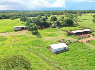 2918_imovelintegrado_imovelweb_1.jpg · Fazenda Centro Nova Andradina Ms