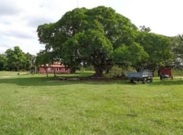 2227_imovelintegrado_imovelweb_1.jpg · Fazenda Centro Nossa Senhora Do Livramento Mt