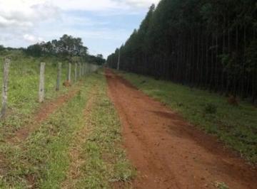 2598_imovelintegrado_imovelweb_1.jpg · Fazenda Centro Unai Mg