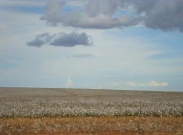 2435_imovelintegrado_imovelweb_1.jpg · Fazenda Centro Paranatinga Mt