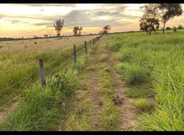2945_imovelintegrado_imovelweb_1.jpg · Fazenda Centro Ribeirao Cascalheira Mt
