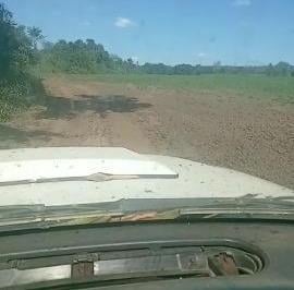 3011_imovelintegrado_imovelweb_1.jpg · Fazenda Setor Central Edeia Go