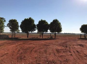 3137_imovelintegrado_imovelweb_1.jpg · Fazenda Centro Paranatinga Mt
