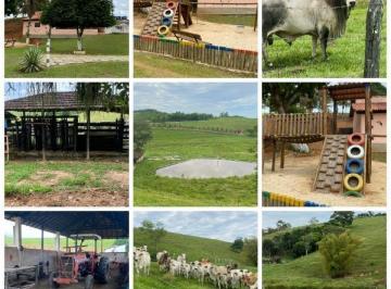 2592_imovelintegrado_imovelweb_1.jpg · Fazenda Cabiunas Silva Jardim Rj