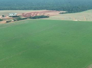 2671_imovelintegrado_imovelweb_1.jpg · Fazenda Centro Nova Mutum Mt