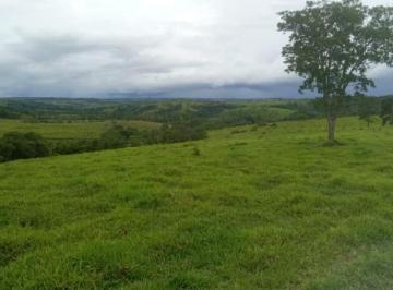 2942_imovelintegrado_imovelweb_1.jpg · Fazenda Centro Unai Mg