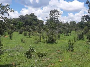 3020_imovelintegrado_imovelweb_1.jpg · Fazenda Centro Paranatinga Mt