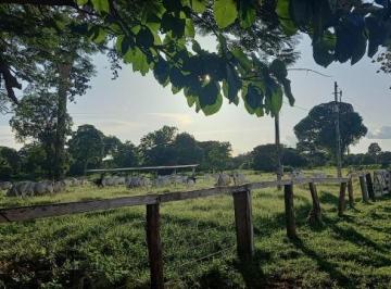 3233_imovelintegrado_imovelweb_1.jpg · Fazenda Centro Cocalinho Mt