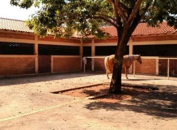 3442_imovelintegrado_imovelweb_1.jpg · Fazenda Vila Santa Helena Presidente Prudente Sp
