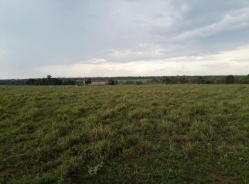 1886_imovelintegrado_imovelweb_1.jpg · Fazenda Centro Paranatinga Mt