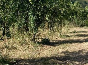 1821_imovelintegrado_imovelweb_1.jpg · Fazenda Muriqui Tangua Rj