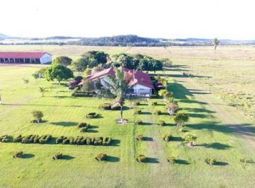1351_imovelintegrado_imovelweb_1.jpg · Fazenda Centro Peixoto de Azevedo Mt