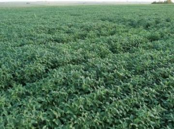 2722_imovelintegrado_imovelweb_1.jpg · Fazenda Centro Goioere Pr