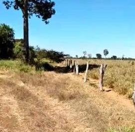 2247_imovelintegrado_imovelweb_1.jpg · Fazenda Centro Cocalinho Mt