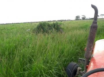 2957_imovelintegrado_imovelweb_1.jpg · Fazenda Centro Pocone Mt