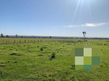 2917_imovelintegrado_imovelweb_1.jpg · Fazenda Centro Nova Andradina Ms