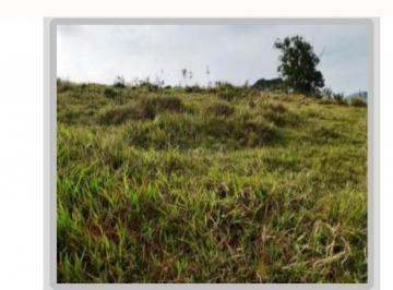 2890_imovelintegrado_imovelweb_1.jpg · Fazenda Centro Cachoeiras de Macacu Rj