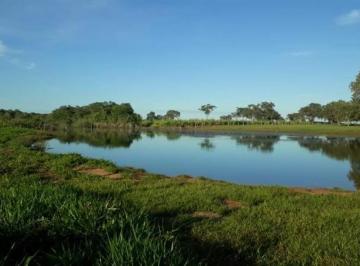 2771_imovelintegrado_imovelweb_1.jpg · Fazenda Centro Sao Felix Do Araguaia Mt